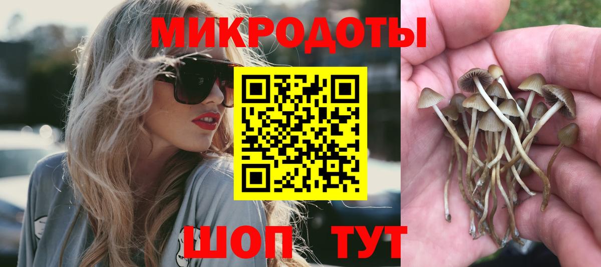 купить   Вход с VPN  Унеча  Галлюциногенные грибы GOLDEN TEACHER 